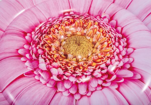 Cool Badmadrass "blomma" - Bild 2