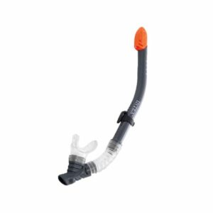 Proffs snorkel